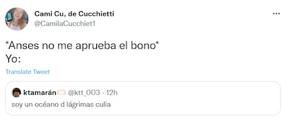 La tristeza de aquellos que no lograron acceder al nuevo IFE de Anses también se replicó en memes