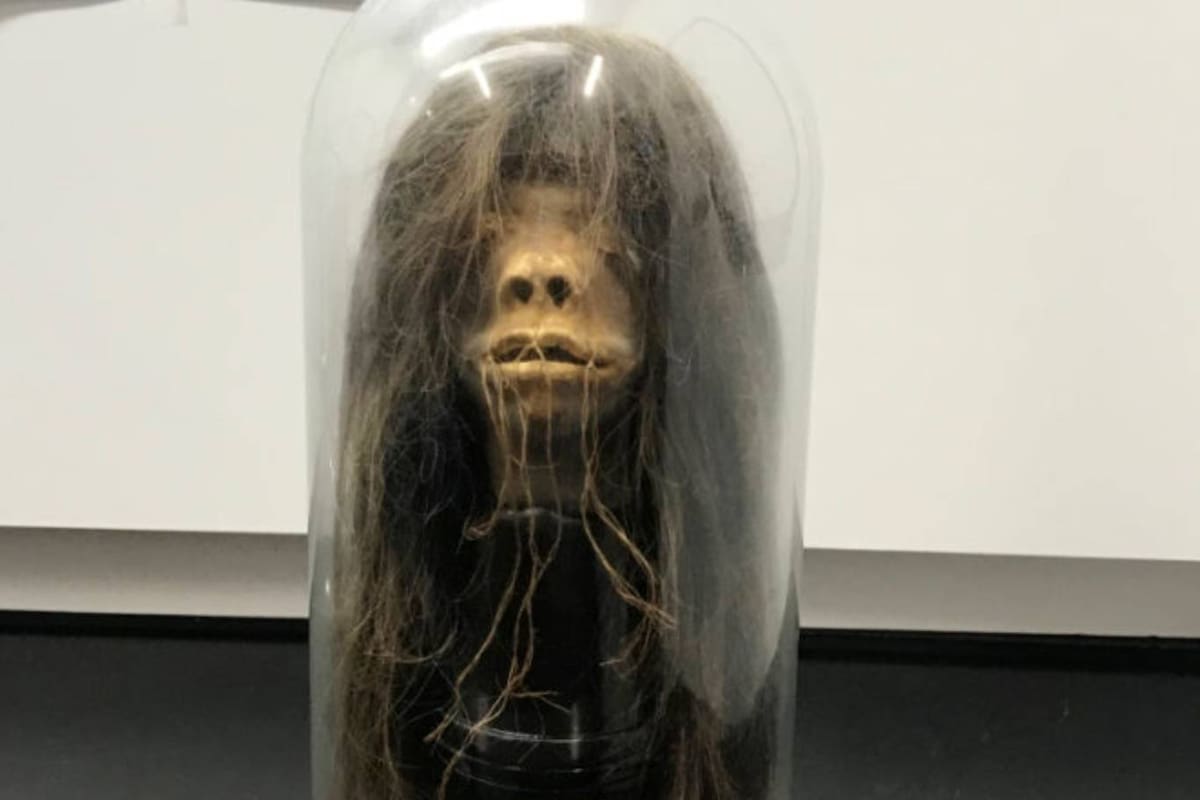 La tsantsa, adquirida en Ecuador, fue parte de una película de Hollywood, estuvo en una Universidad estadounidense, y recientemente fue repatriada a su país de origen