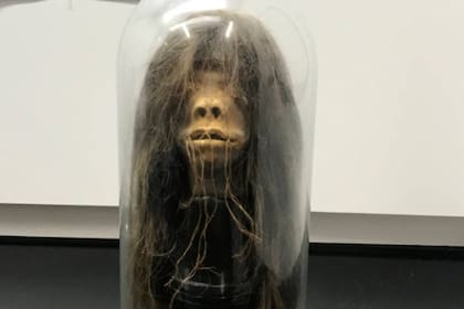 La tsantsa, adquirida en Ecuador, fue parte de una película de Hollywood, estuvo en una Universidad estadounidense, y recientemente fue repatriada a su país de origen