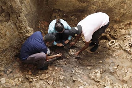 La tumba de la época prehispánica fue encontrada en el parque arqueológico de El  Caño, en la rovincia de Coclé, Panamá