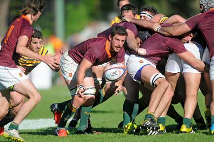 La UAR anunció que seguirá la restricción en el empuje del scrum