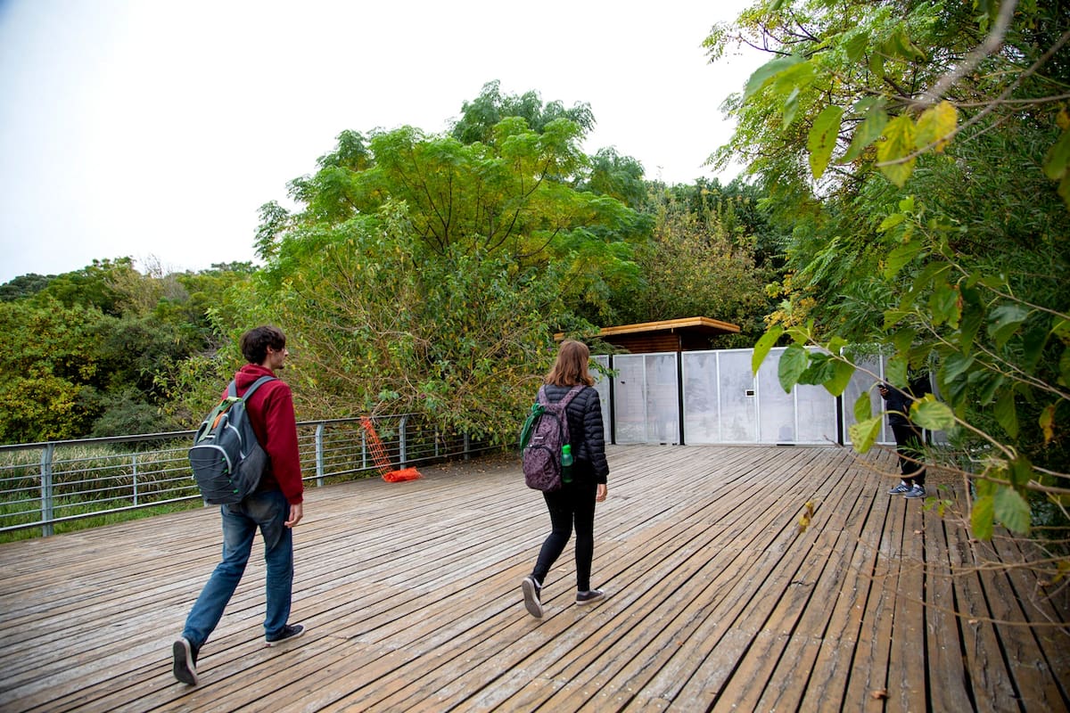 La UBA culminó el informe que confirmó la riqueza en biodiversidad del lugar, con más de 800 especies, y propuso un plan de manejo; la Ciudad promete empezar a trabajar en él