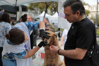 La UBA inicia su ciclo solidario en Chacarita con servicios gratuitos de salud y asesoría