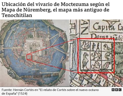 La ubicación del zoológico de los Mexicas