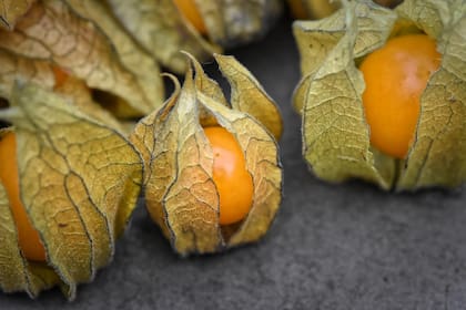 La uchuva se consolida como un pilar fundamental de bienestar en la dieta colombiana (Foto ilustrativa: PEXELS)