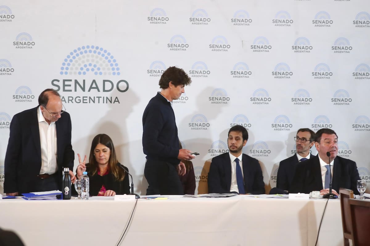La UCR cuestionó el decreto de Milei para nombrar a Lijo y García-Mansilla: “Es un desprecio a la Constitución”