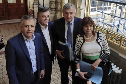 La UCR, en "pie de guerra" contra la intervención de la justicia en Jujuy