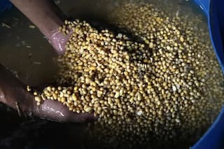 La UE retira embarques de harina de soja argentina por incumplimientos de OGM