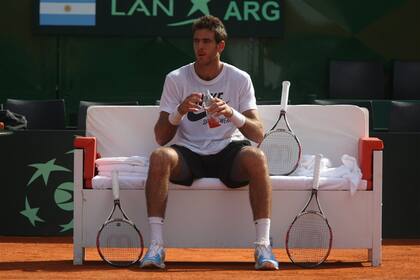 La última aparición oficial de Del Potro como jugador fue en la Copa Davis, en septiembre de 2012, ante la República Checa, en Parque Roca.
