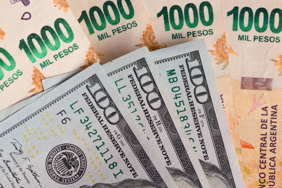 La última cotización del dólar oficial y el dólar blue frente al peso argentino