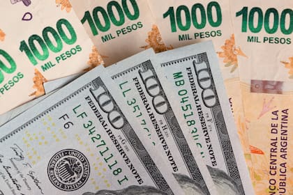 La última cotización del dólar oficial y el dólar blue frente al peso argentino