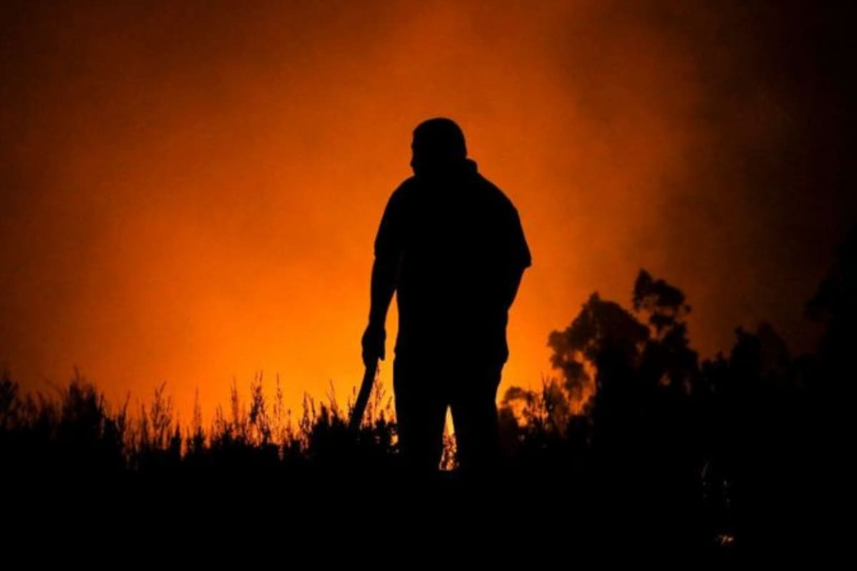 La última ola de incendios está teniendo un gran impacto social y ambiental