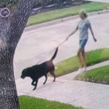 La última vez que vieron a Sherryl Noppe fue en los alrededores del parque George Bush en Houston, Texas.