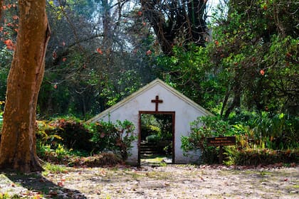 La única premisa allí es dejar de lado equipos de música y parlantes, para escuchar los sonidos de la naturaleza