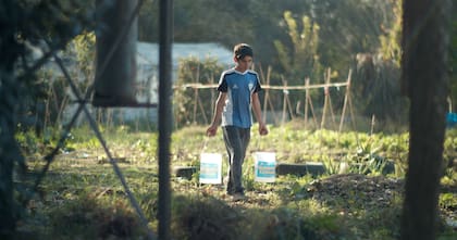 La Unicef estima que 158 millones de personas entre 5 y 17 años son sometidas al trabajo infantil. Crédito: Gentileza OIT