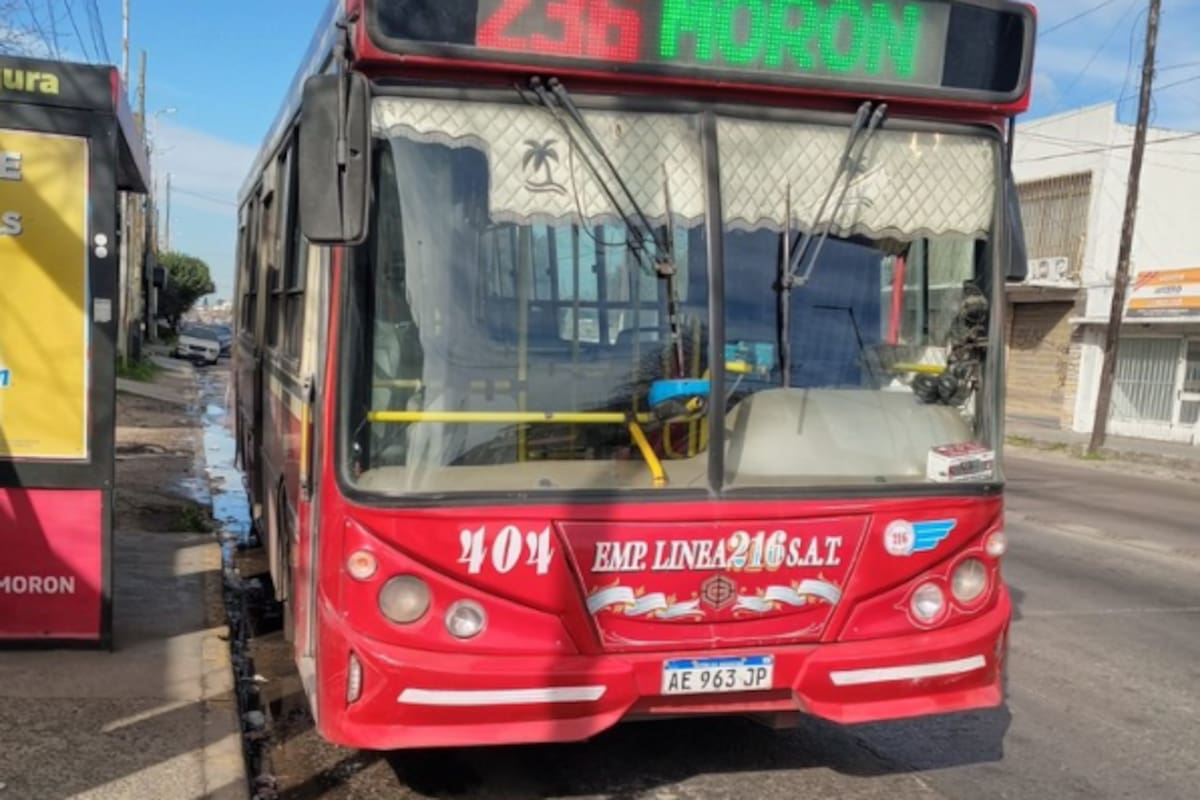 La unidad que protagonizó el hecho luego de la detención del chofer