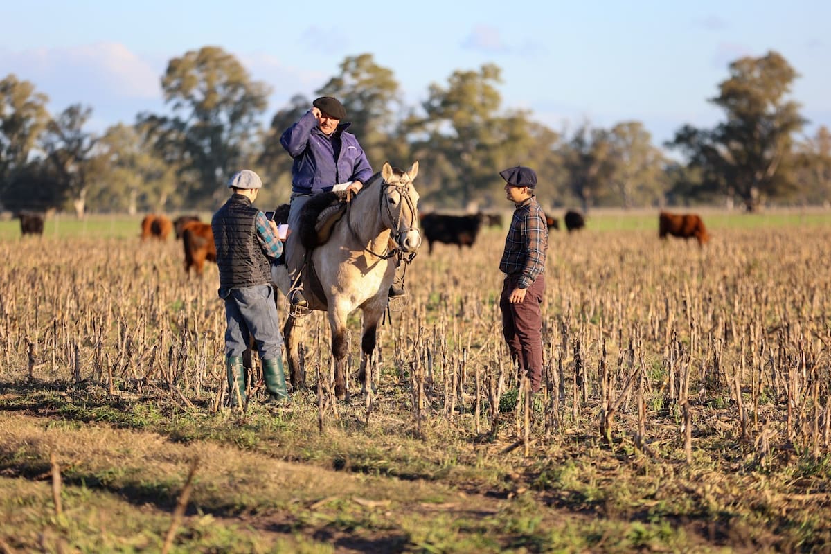 La Universidad Argentina de la Empresa (UADE) presentó la nueva Tecnicatura en Producción y Gestión Animal durante la Exposición Rural de Palermo