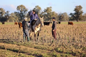 Una universidad amplió su oferta académica por una necesidad del campo