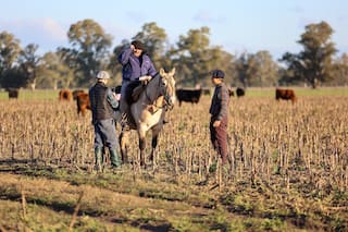 Una universidad amplió su oferta académica por una necesidad del campo