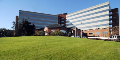 La Universidad Austral fue reconocida por segundo año seguido como la mejor de la Argentina, pero en el puesto 1201-1500