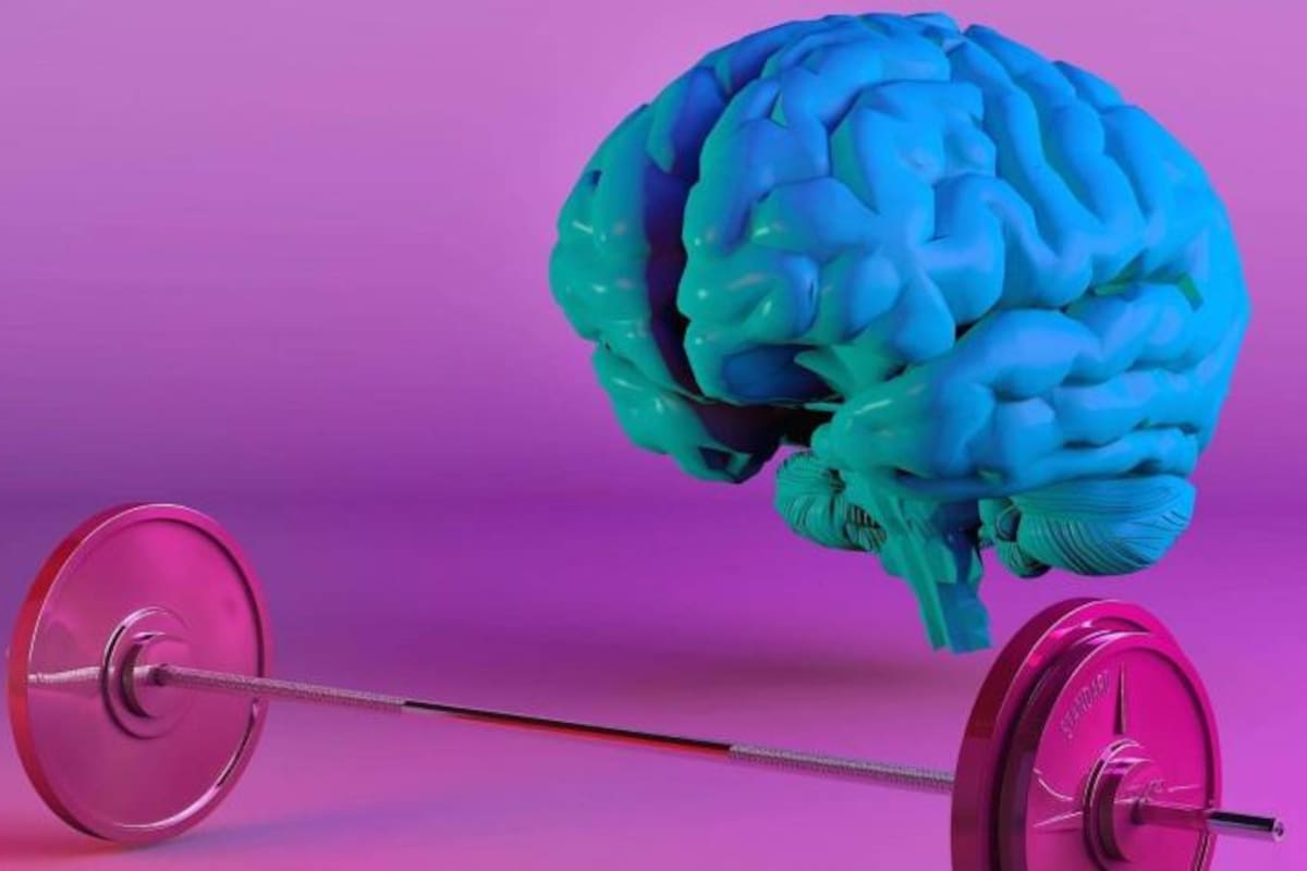 La Universidad de Harvard considera que el ejercicio físico y la lectura son esenciales para el desarrollo y funcionamiento de la memoria