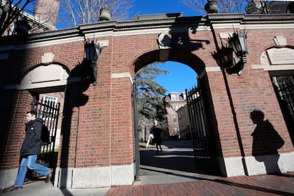 La Universidad de Harvard cuenta con una tasa de aceptación que ronda el 3%