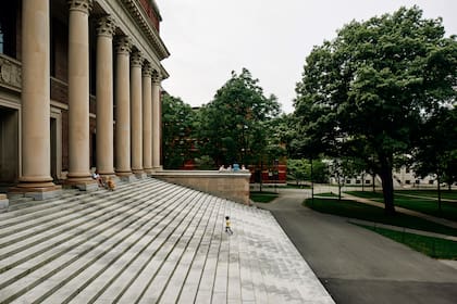 La Universidad de Harvard en Cambridge, Massachusetts. (Tony Luong/The New York Times)