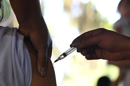 La Universidad de La Plata impulsa la vacunación como requisito para avanzar en la presencialidad