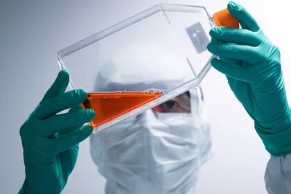 La Universidad de Oxford ha iniciado ensayos con más de 20.000 voluntarios en Gran Bretaña, Brasil y Sudáfrica