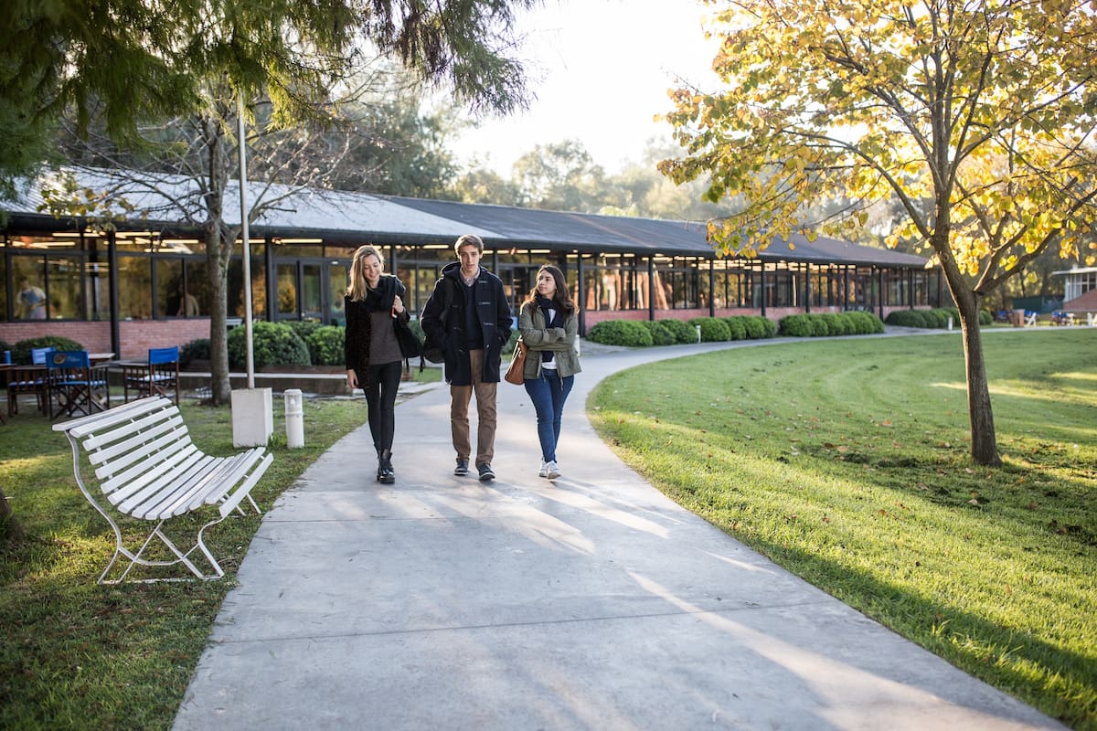 La Universidad de San Andrés crea constantemente nuevas licenciaturas que anticipan las futuras demandas de las organizaciones.