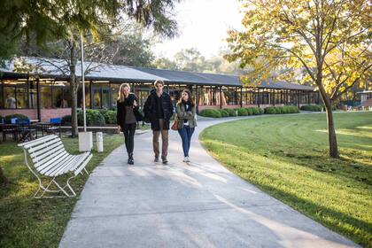 La Universidad de San Andrés crea constantemente nuevas licenciaturas que anticipan las futuras demandas de las organizaciones.
