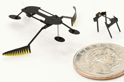 La Universidad de Washington State ha presentado dos robots parecidos a insectos afirmando que son los más pequeños, ligeros y rápidos jamás creados. El hemíptero pesa ocho miligramos, mientras que el zancudo de agua pesa 55 miligramos. Ambos pueden moverse a unos seis milímetros por segundo.