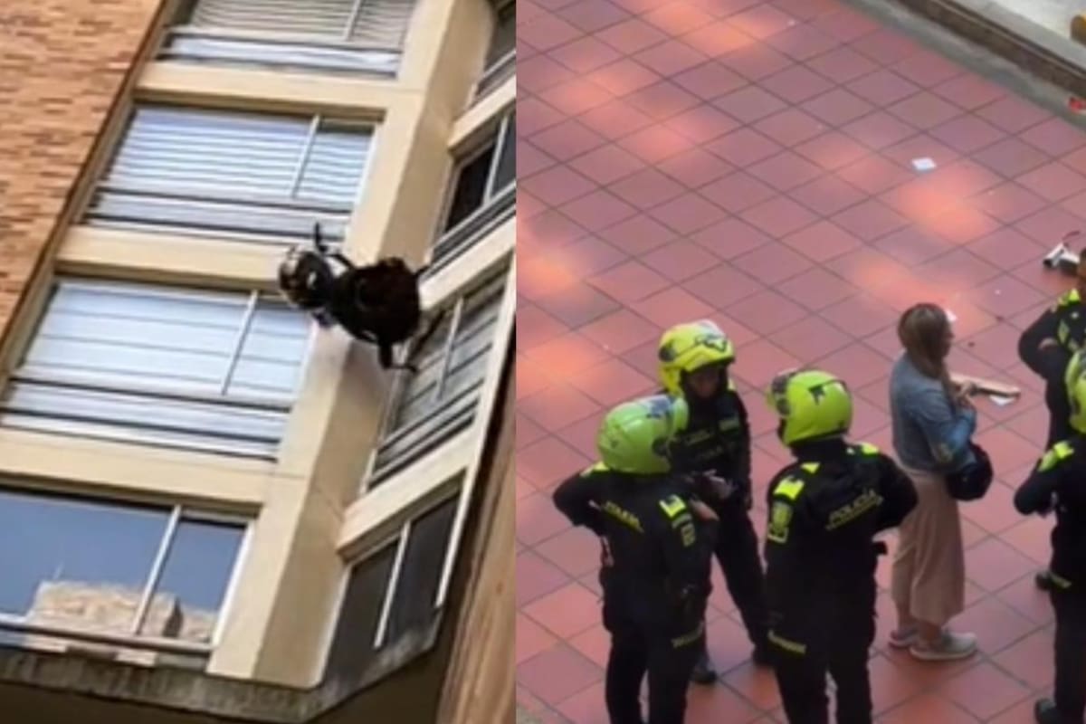 La urbanización estaría ubicada en el Barrio Gran Granada, Muy cerca a la Calle 80. FOTO: Google Maps /TikTok: @sergiocampos6176