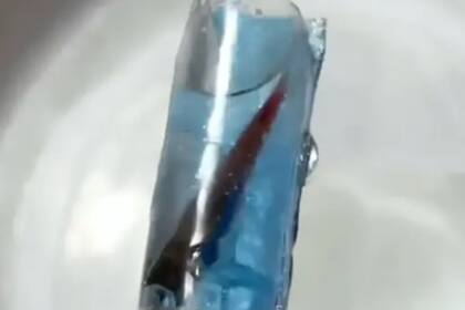 La usuaria Nail_Sunny quiso sorprender con un diseño osado pero acabó siendo acusada de crueldad animal.