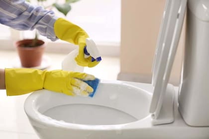 La usuaria reveló el truco para mantener el baño con buen olor y se volvió viral