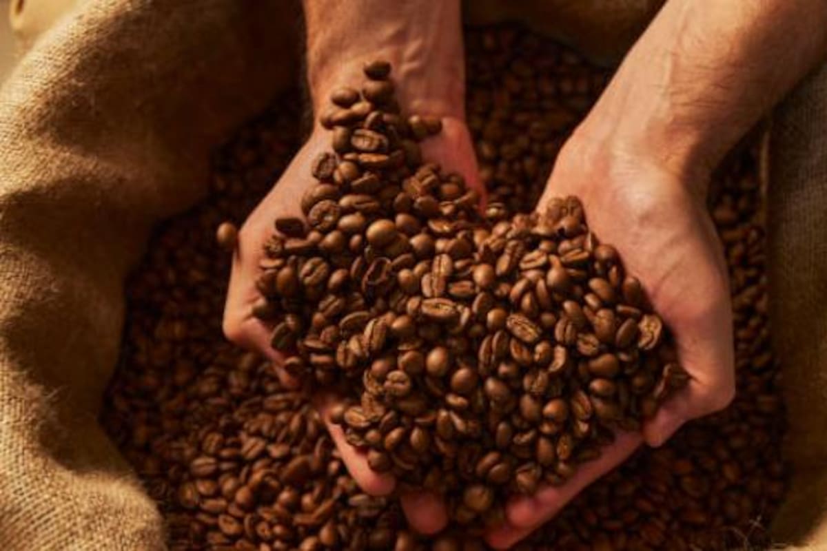 La utilización de granos de café vuelve al hormigón más resistente y reduce la emisión de gases de efecto invernadero