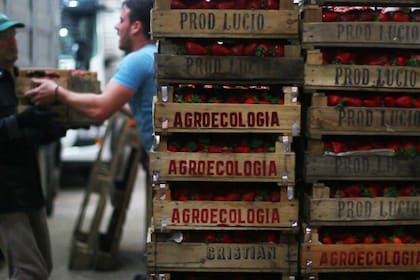 La UTT representa a 16.000 familias de pequeños productores