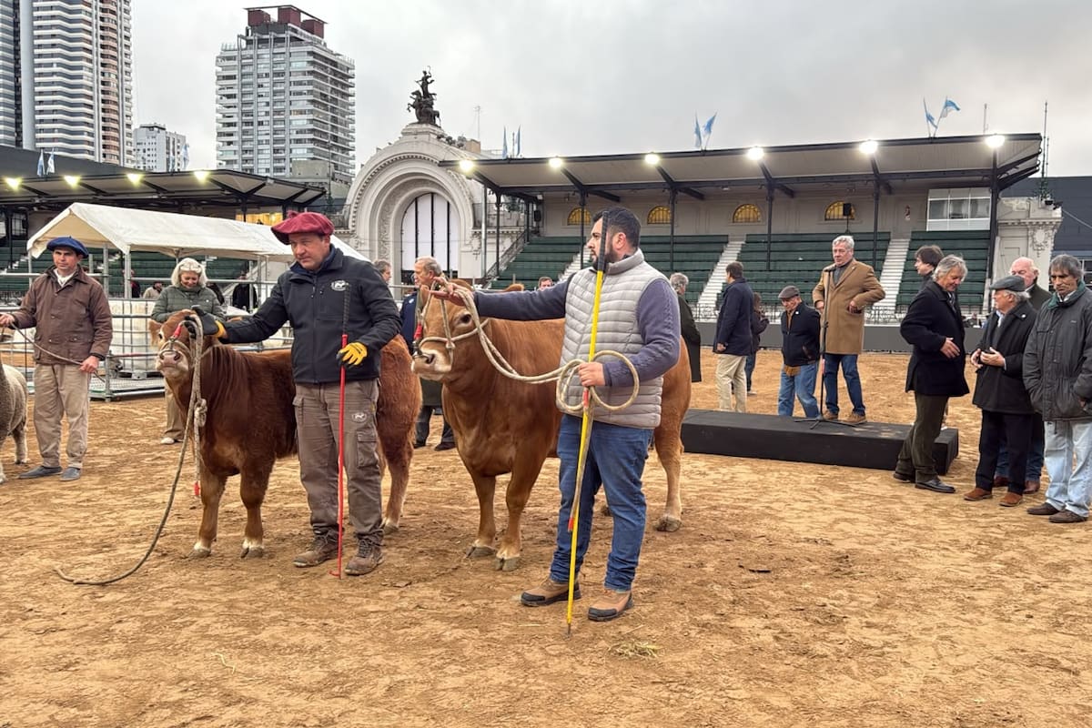 Tim Payne y Tini Tini: los pioneros de la Exposición Rural