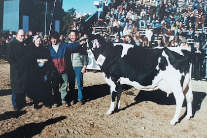 La vacas del establecimiento Campazú ganaron en la Exposición Rural de Palermo