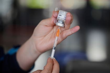 La vacuna se aplicará de manera gratuita en las provincias de Misiones, Corrientes, Formosa y departamentos seleccionados de Salta, Jujuy y Chaco