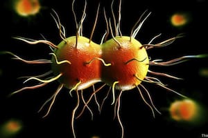 La vaginosis bacteriana puede derivar en enfermedades de transmisión sexual como la gonorrea