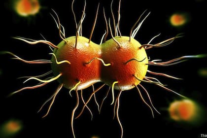 La vaginosis bacteriana puede derivar en enfermedades de transmisión sexual como la gonorrea