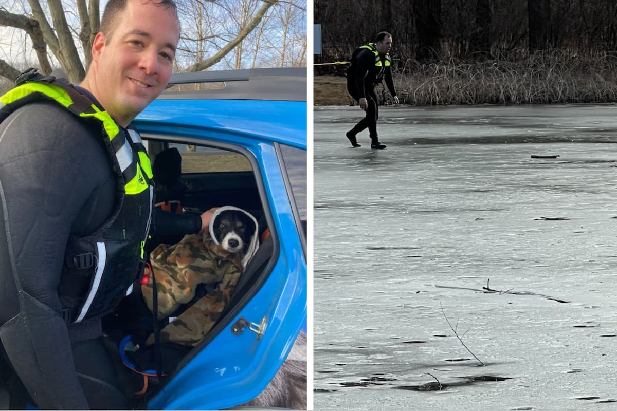 La valentía de un oficial permitió evitar una tragedia