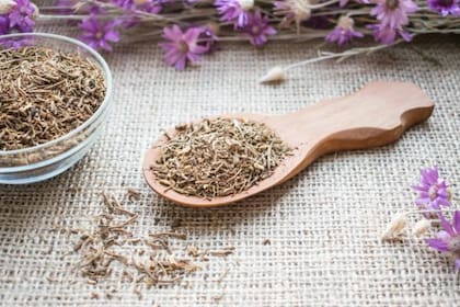 La valeriana puede ser incluida en el mate