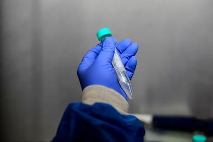 La variante ómicron fue detectada en Sudáfrica en noviembre del año pasado