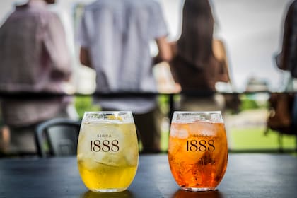 La variedad Botánica de 1888 se volvió protagonista entre los cócteles creados por Ramiro Ferreri.