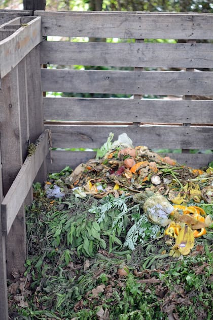 La variedad de materiales compostables disponible durante el verano facilita la creación de una mezcla equilibrada y rica en nutrientes
