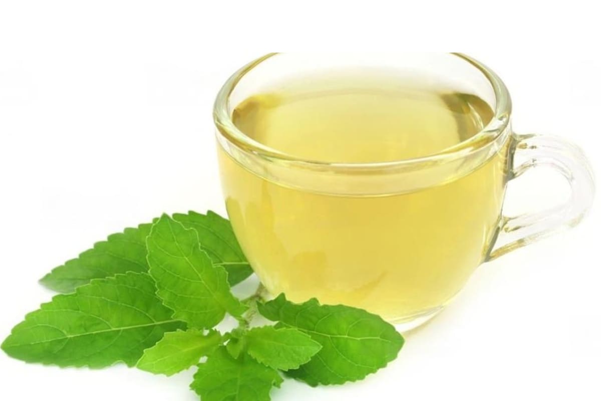 La variedad que más destaca por sus cualidades es el tulsi o también llamada albahaca sagrada