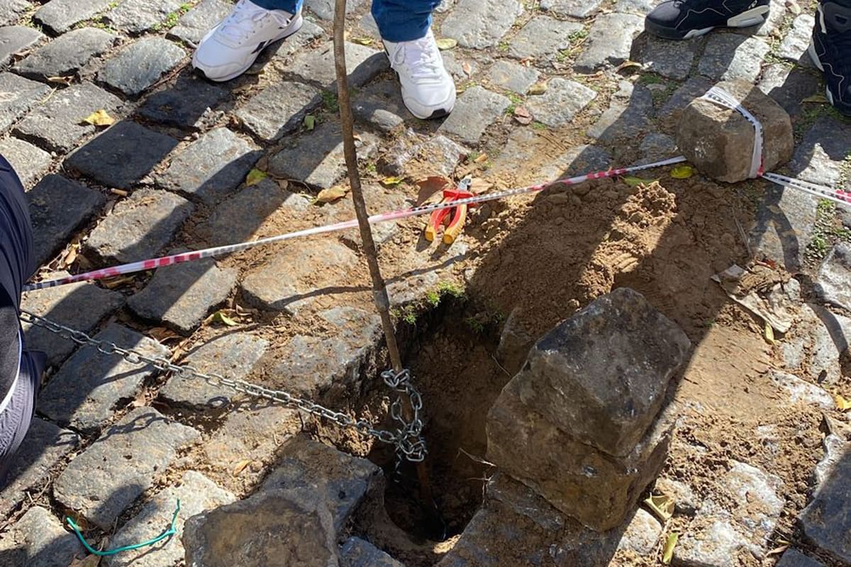 La varilla de hierro que salía de un túnel de más de tres metros de profundidad hecho para robar un banco