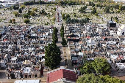 La vegetación e inactividad son propicios para la propagación del dengue
